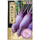 大根 種 【味ぴかいち紫】 2ml（約100粒）（ 種 野菜 野菜種子 野菜種 ）