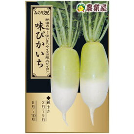 大根 種 【味ぴかいち】 3ml（約150粒） （ 種 野菜 野菜種子 野菜種 ）