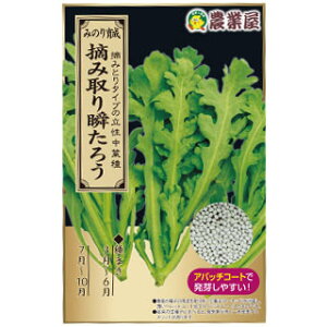 VMN  y Eݎu낤 z ( te̎ )