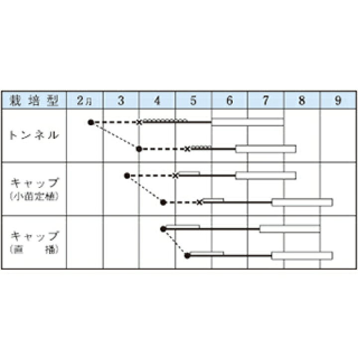 105円 価格 交渉 送料無料 白瓜 しろうり タキイ種苗 さぬき白瓜 小袋 新タネは種子切り替えの1月以降のお届を予定 105円 価格 交渉 送料無料 白瓜 しろうり タキイ種苗 さぬき白瓜 小袋 新タネは種子切り替えの1月以降のお届を予定