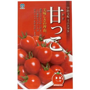 �~�j�g�}�g �� �y�~�j�g�}�g�Â����z ���� 10�� �i �� ��� ��؎�q ��؎� �j