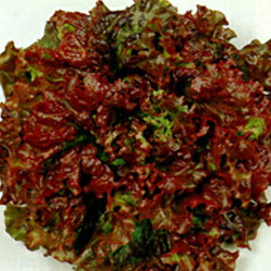 ^X  y bhEF[u z 20ml ( ^X̎ )