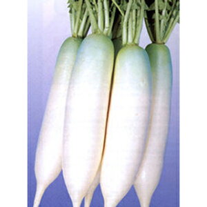 卪  y h2 z q 2dl i   ؎q ؎ j