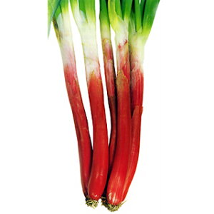 lM  y lMׂɂ z q 2dl i   ؎q ؎ j