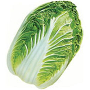   y CR65 z q ܁i1D5mlj i   ؎q ؎ j