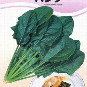 zE\E  y n^[ z q vC~OqM3 i   ؎q ؎ j