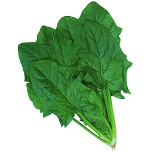 zE\E  y O[z[v z q vC~OM3 i   ؎q ؎ j