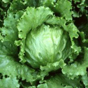 ^X  y ^XTo[ z q R[g5痱 i   ؎q ؎ j