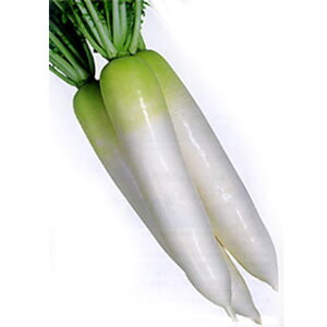 卪  y YRH z q 2dl i   ؎q ؎ j