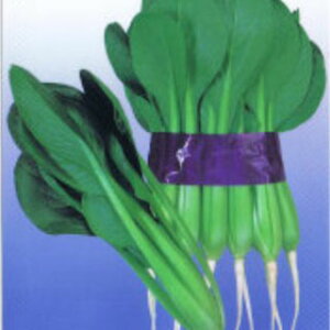   y 悩Gz 1L i   ؎q ؎ j