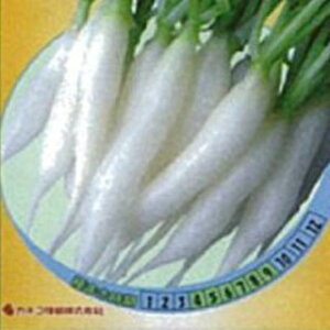 卪  y zCg~j z ܁i5.8mlj ( 卪̎ )