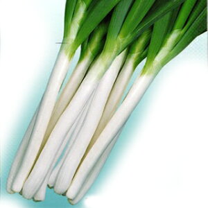 lM  y lMΑqG[X z q ܁i20mlj i   ؎q ؎ j