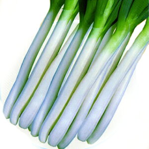 lM  y lMΑq z q ܁i20mlj i   ؎q ؎ j