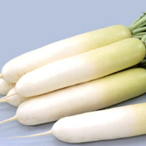 卪  y ~ z q ܁i20mlj i   ؎q ؎ j