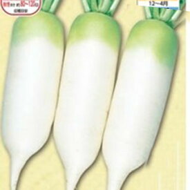 楽天市場 つくし春の通販 楽天市場 つくし春の通販