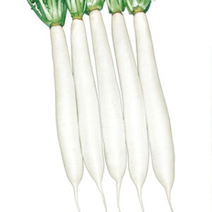 _CR  y z z 2dl ( _CR̎ )