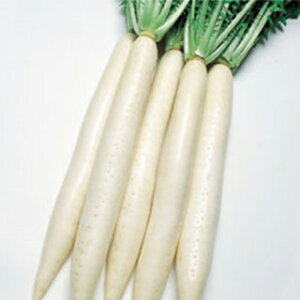 _CR  y ϕaz z (9.0ml) ( _CR̎ )