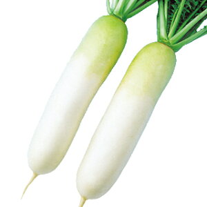 卪  y Ă݂ǂ2 z (4ml) ( 卪̎ )