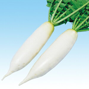 卪  y  z q ܁i3mlj i   ؎q ؎ j