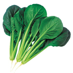   y 킩ȁz  i   ؎q ؎ j