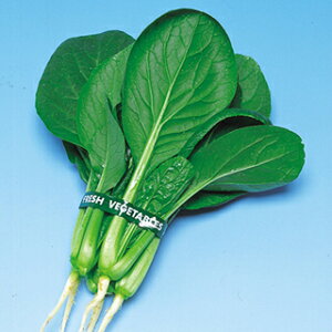   y͂؁z ܁i8mlj i   ؎q ؎ j