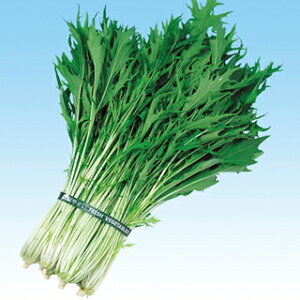   y ΐ z q 5痱R[gL i   ؎q ؎ j