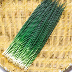 lM  y lM~F z q 1L i   ؎q ؎ j