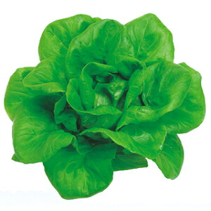 y oCIET_@z q 5痱R[gL i   ؎q ؎ j