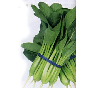   y  z q ܁i50mlj i   ؎q ؎ j