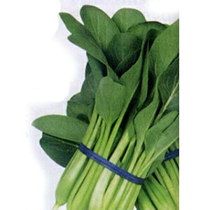   y  z q ܁i1dlj i   ؎q ؎ j