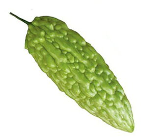 S[  ySi܂jz 1L i   ؎q ؎ j