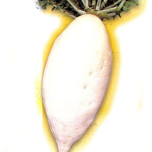 卪  y ꓇卪 z q 1L i   ؎q ؎ j