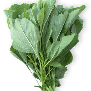 y 낱 z q 1L i   ؎q ؎ j