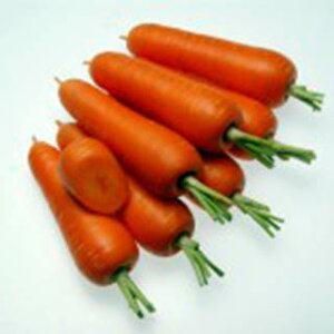 ɂ񂶂  y ꂢ߂ܐ z q ܁i20mlj i   ؎q ؎ j