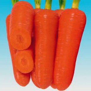 ɂ񂶂  y 炢ތܐ z q ܁i20mlj i   ؎q ؎ j