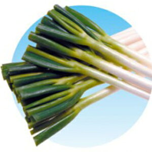 lM  y Ђ2 z q 2LR[g6痱r i   ؎q ؎ j