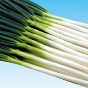 lM  y  z q 2LR[g6痱r i   ؎q ؎ j