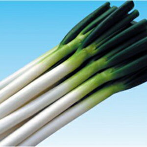 lM  y Piイj z q ܁i20mlj i   ؎q ؎ j