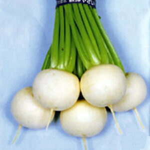 Ju  y ʖ z q ܁i20mlj i   ؎q ؎ j