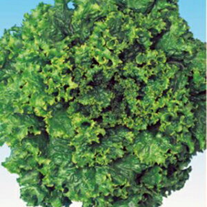 ^X  y }m z q LR[gܐ痱r i   ؎q ؎ j