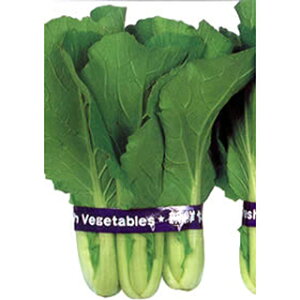   y ˍؔ؂΂ z 2.6ml ( ؂̎ )