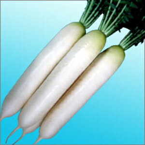 卪  y Ƃ z q 2dl i   ؎q ؎ j