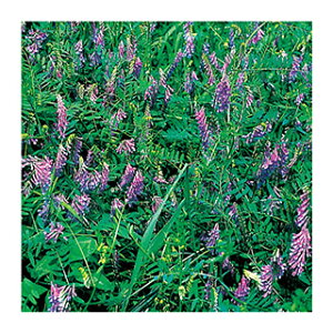 Δ  y wA[xb` iC z1kg ( ^LC ) ( Δ̎ )