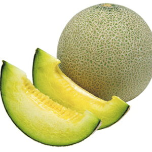   y piTF z ܁i8j ( ̎ )