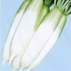 卪  y YR-Sl z q ܁i20mlj i   ؎q ؎ j