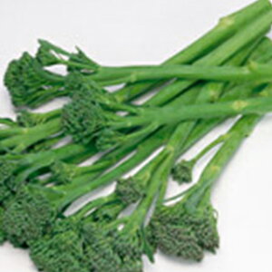 subR[  y XeBbNZj[ z ybg5痱 ( subR[̎ )