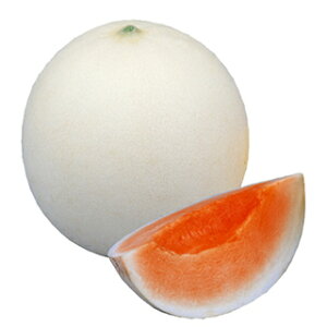   y lINIl z (6) ( ̎ )