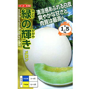   y ΂̋P z (6) ( ̎ )