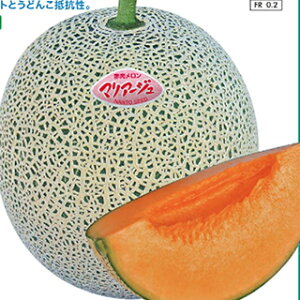   y }A[WČn z (5) ( ̎ )