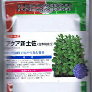 J{`  y ANAVy z 2dl ( J{`؂̎ )